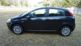 Fiat Punto zarejestrowany, ubezpieczony. Gwarancja. Polecam !!! Zielona Góra - zdjęcie 8