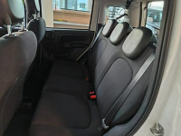 Fiat Panda Pandina  Icon 1.0 hybrid 70 KM Nowy Sącz - zdjęcie 7