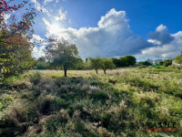 Działka|Inwestycyjna|Górzyno