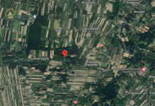 Działka rolna w okolicy Lasu Nowy Dębsk - zdjęcie 3