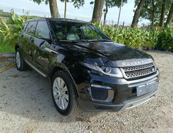 Land Rover Range Rover Evoque Evoque Pleszew - zdjęcie 4