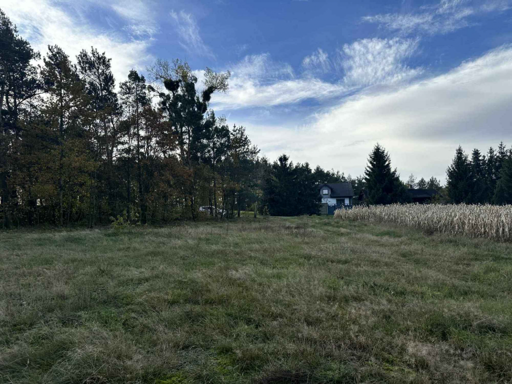 Działka budowlana na sprzedaż 4800 m 2, Gmina Brójce, Pałczew Pałczew - zdjęcie 5