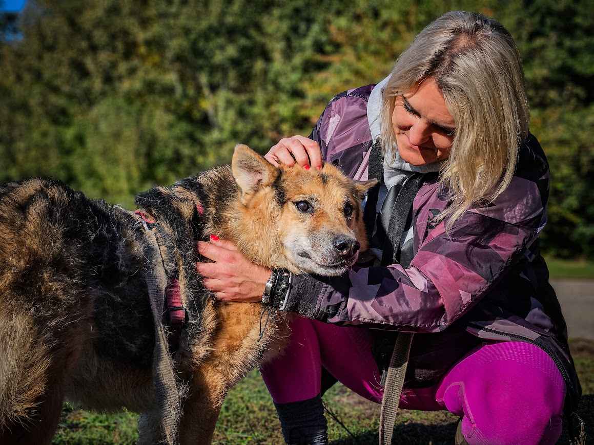 Piękny, energiczny, bardzo proludzki psi senior FRODO szuka domu! :) Śródmieście - zdjęcie 3