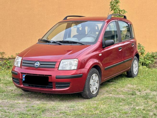 FIAT PANDA 1.2 Benzyna |Niski Przebieg||Wspomaganie Kier.| Witowo - zdjęcie 2