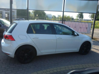 Volkswagen Golf 7 2013r 1.2 benzyna 105km automat grzane fotele Słupsk - zdjęcie 6