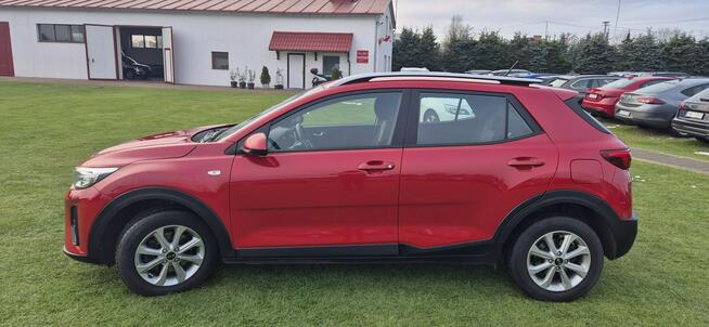 Kia Stonic Zarejestrowany Paproć - zdjęcie 4