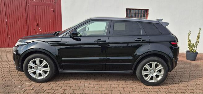 Land Rover Range Rover SKÓRA-PANORAMA-STAN Paproć - zdjęcie 5