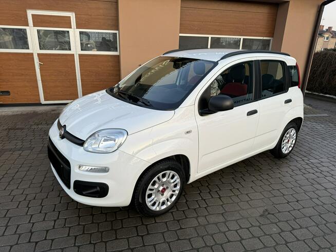 Fiat Panda 1,2 69KM  Klimatyzacja  Serwisowany  1Właściciel Orzech - zdjęcie 12