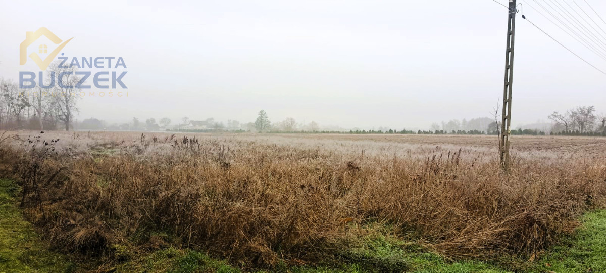 Sprzedam działkę w Antoniewie Żdżarowym Antoniew - zdjęcie 4