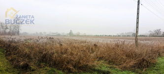 Sprzedam działkę w Antoniewie Żdżarowym Antoniew - zdjęcie 4