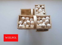 Opakowania do białych pieczarek / białej pieczarki Wielichowo - zdjęcie 7
