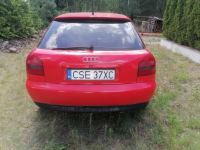 Audi Zboże - zdjęcie 8