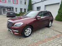 Mercedes ML 350 4Matic Ostrołęka - zdjęcie 9