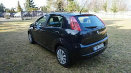 Fiat Punto zarejestrowany, ubezpieczony. Gwarancja. Polecam !!! Zielona Góra - zdjęcie 7