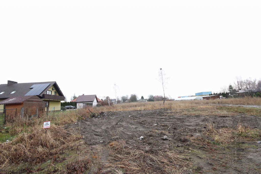 Działka Budowlana (6600 m2) okolice Różanej (Syców) Syców - zdjęcie 8