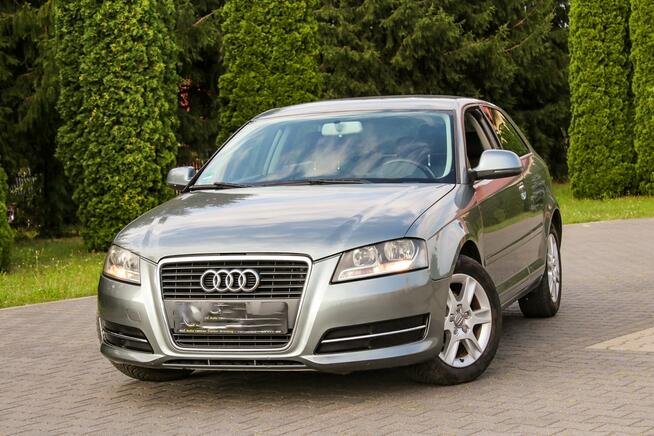 Audi A3 105KM Klimatronik Parktronik Lift Ostrów Mazowiecka - zdjęcie 11