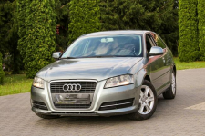 Audi A3 105KM Klimatronik Parktronik Lift Ostrów Mazowiecka - zdjęcie 11
