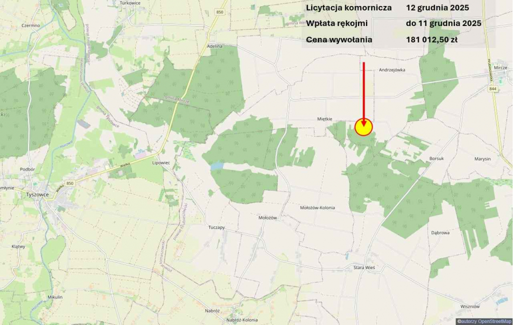 Licytacja komornicza, Andrzejówka, grunt użytkowany Andrzejówka - zdjęcie 2
