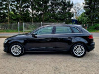 Audi A3 LED Serwis BiXenon Climatronic Tempomat Bluetooth Gwarancja! Szczecin - zdjęcie 8
