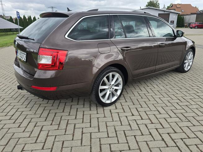 Škoda Octavia 1.2Turbo Automat.Navi.Xenony.Ledy.Serwis.kredyt.OKAZJA Kutno - zdjęcie 10