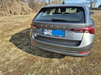 SPRZEDAM Turek - zdjęcie 2