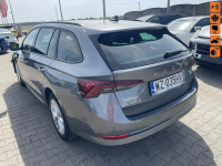 Škoda Octavia Salon PL_TDI Klimatronik Kamera Czujniki park.