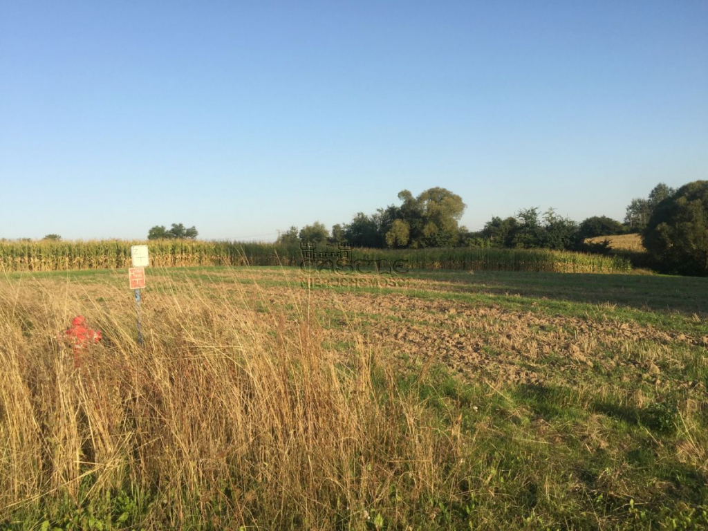 Działka na sprzedaż Golęczewo Golęczewo - zdjęcie 7