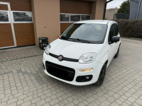 Fiat Panda !! Rezerwacja !! Orzech - zdjęcie 12