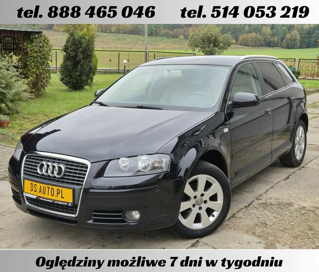 Audi A3 8P • 1.6 benz MPI • 5 drzwi • 2006 • jasne wnętrze • z Niemiec Nowe Miasto Lubawskie - zdjęcie 3