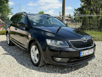 Škoda Octavia Xenon Navi Climatronic Gwarancja Kutno - zdjęcie 4