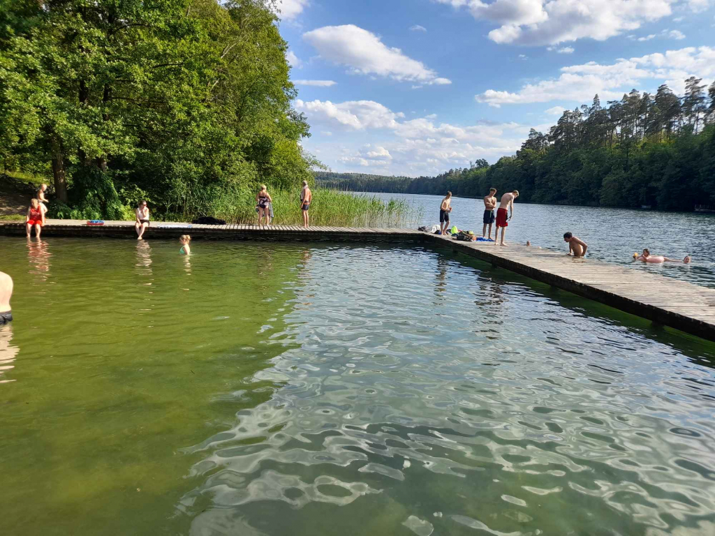 Działka rolno-budowlana koło Szczytna Nowe Kiejkuty - zdjęcie 1