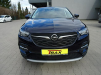 Opel Grandland X 1.2 130KM ,Krajowy, Serwisowany ASO ,Bezwypadkowy Łódź - zdjęcie 3