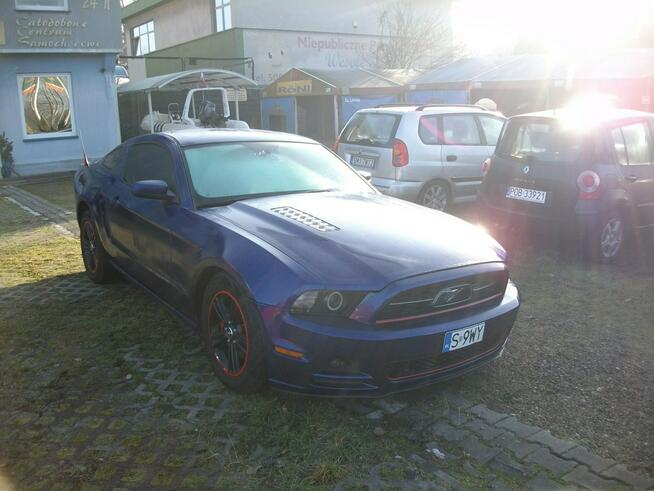 Ford Mustang 2013 r./227 kw/ 3731 cm3 Katowice - zdjęcie 2