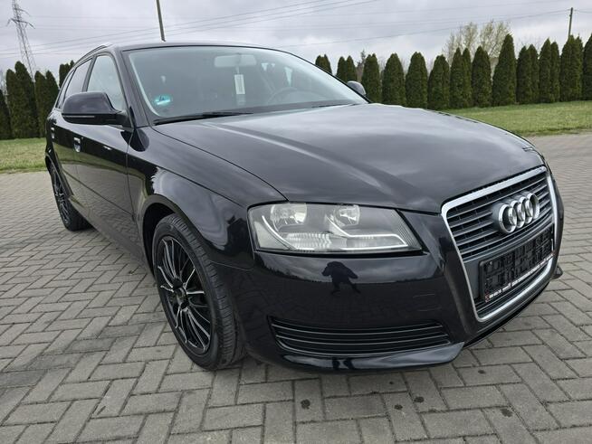 Audi A3 1,4Turbo Benz.LIFT.Automat.Navi.DVD.Parktronic.Tempomat. Kutno - zdjęcie 4