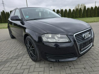Audi A3 1,4Turbo Benz.LIFT.Automat.Navi.DVD.Parktronic.Tempomat. Kutno - zdjęcie 4