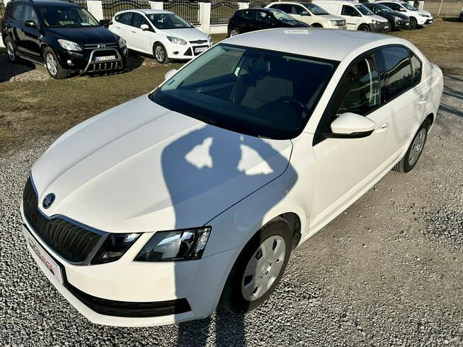 Škoda Octavia Nowe Iganie - zdjęcie 12