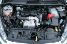 Ford Fiesta krajowy, 1-właściciel, serwisowany,VAN, fa vat,KLIMA Opole - zdjęcie 11