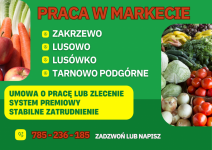 Kasjer-Sprzedawca Zakrzewo, Lusowo, Lusówko, Tarnowo Podgórne Grunwald - zdjęcie 1