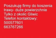 Poszukuję firmy do koszenia trawy- duże powierzchnie