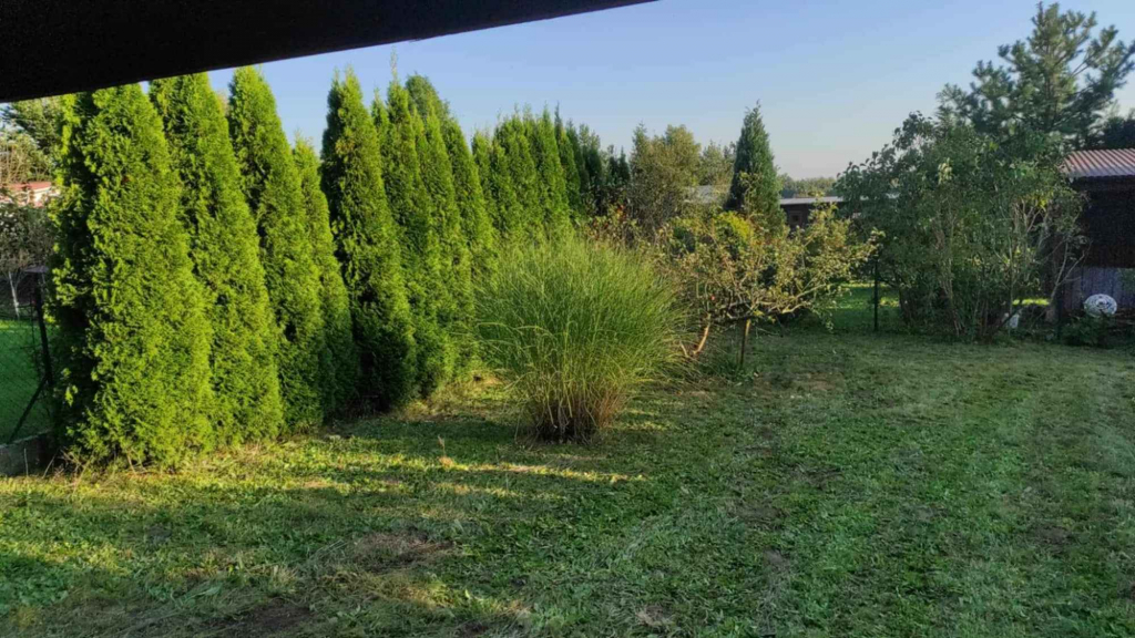 Sprzedam ogródek działkowy z domkiem murowanym R.O.D. Wiarus Balice Balice - zdjęcie 6