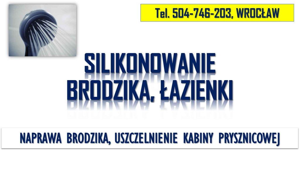 Naprawa brodzika, tel 504-746-203, Wrocław. Uszczelnienie kabiny, cena Psie Pole - zdjęcie 4