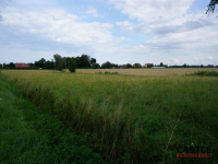 Działka 6303 m² | Bogatka koło Gdańska Bogatka - zdjęcie 7