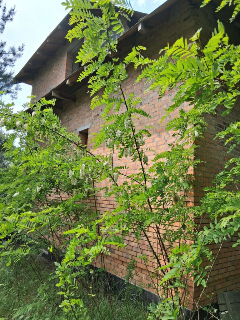 Dom na dużej działce przy lesie Wagowo - zdjęcie 9