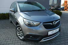 Opel Crossland X Kamera
