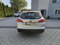 FORD FOCUS 1.6 115 KM EKONOMICZNY Strzegom - zdjęcie 6
