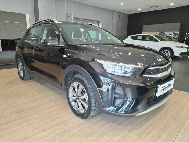 Kia Stonic 1.0 T DCT 100 KM Ostrów Wielkopolski - zdjęcie 3
