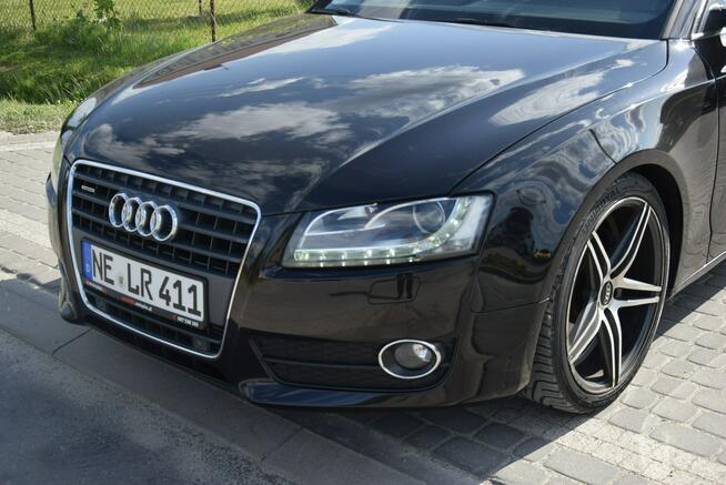 Audi A5 2.0TFSI Quattro Navi 2 KPL KÓŁ Super Stan Sprowadzony Tarnogród - zdjęcie 12
