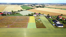 ATRAKCYJNA DZIAŁKA, LOKALIZACJA! Tarnowo Podgórne - zdjęcie 12