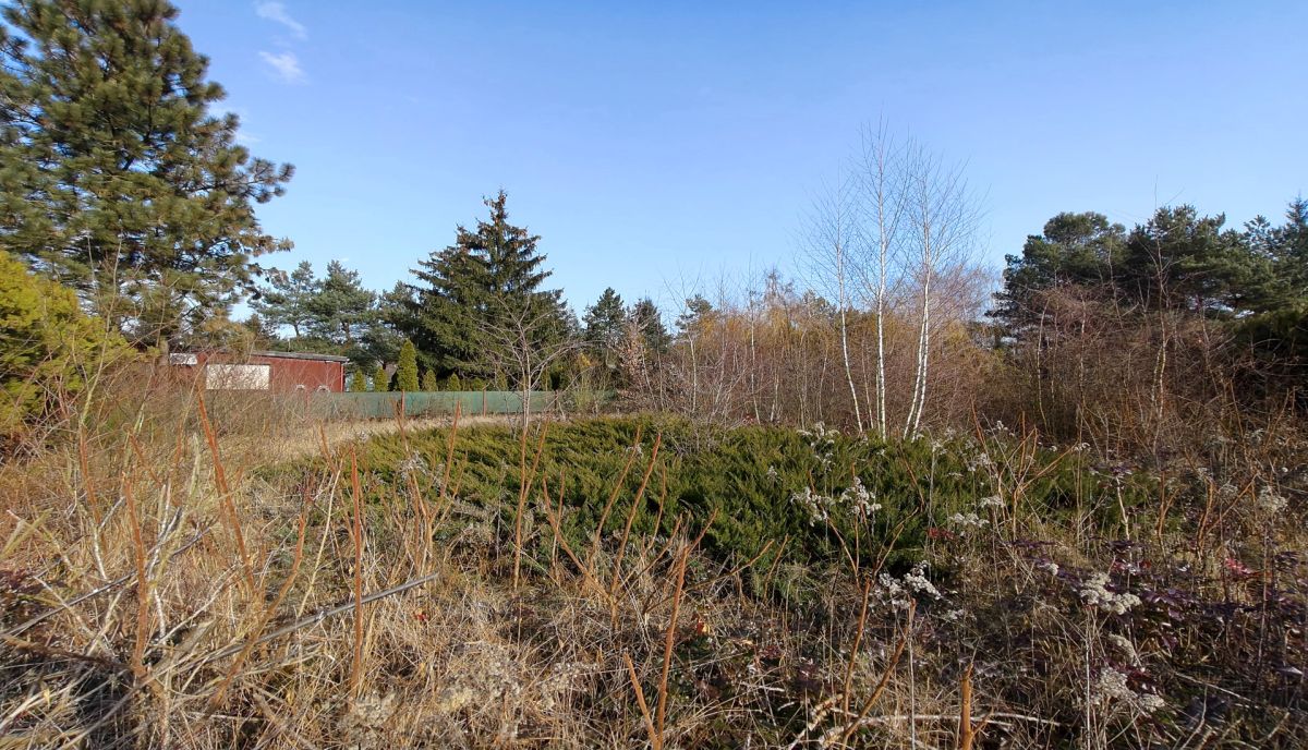 Działka nad jeziorem. Strykowo - zdjęcie 7