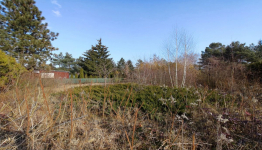 Działka nad jeziorem. Strykowo - zdjęcie 7